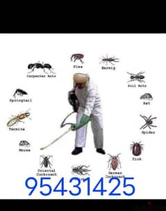 Quality pest control services tdtd