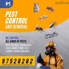 Pest Control Treatment Service for Aunts Mosquito Cockroaches rat