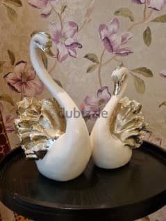 couple swan