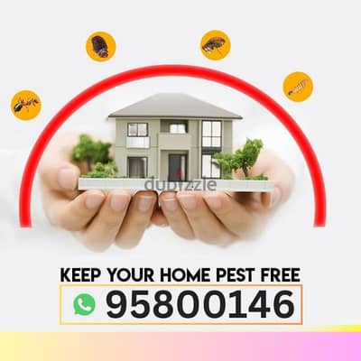 Pest Control services available, insect, cockroaches, lizard, ants,