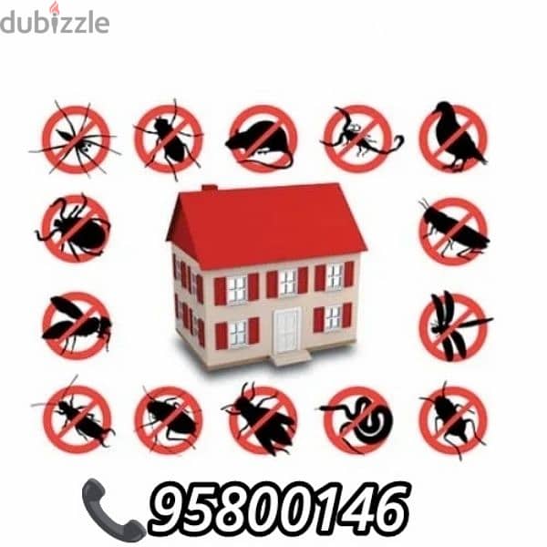 Muscat Pest control services, Bedbugs treatment available, Insect 0