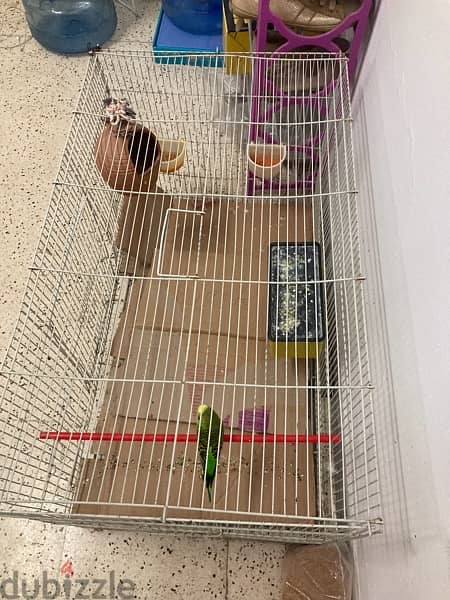 Partot with cage and nest for sale 4