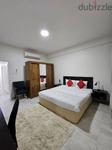 Beautiful Fully Furnished 1 BR Apartment Available for Rent 4