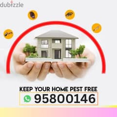 Pest control and House Cleaning services, Bedbugs treatment available 0