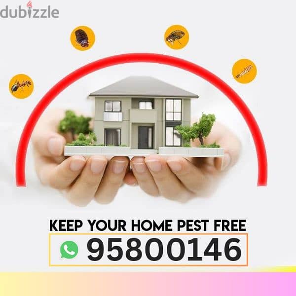 Pest control and House Cleaning services, Bedbugs treatment available 0