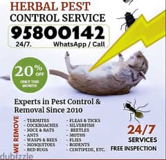 Pest Control services, Bedbugs Treatment available, Insect etc