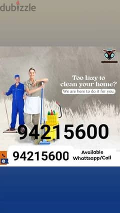 Professional villa office shops restaurant house deep cleaning service