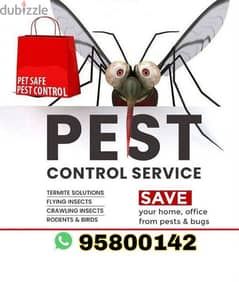 Pest Control services, Bedbugs treatment available, Insect Rats etc