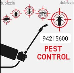 pest control service and house cleaning