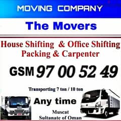 Professional Moving service has