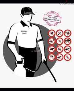 we provide you the best pest control services and fogging also have