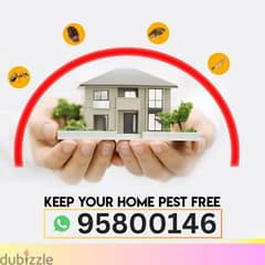 Bedbugs Treatment available by Spraying,Pest Control services