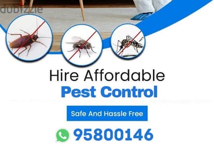 Pest Control and House Cleaning services, Bedbugs treatment available,