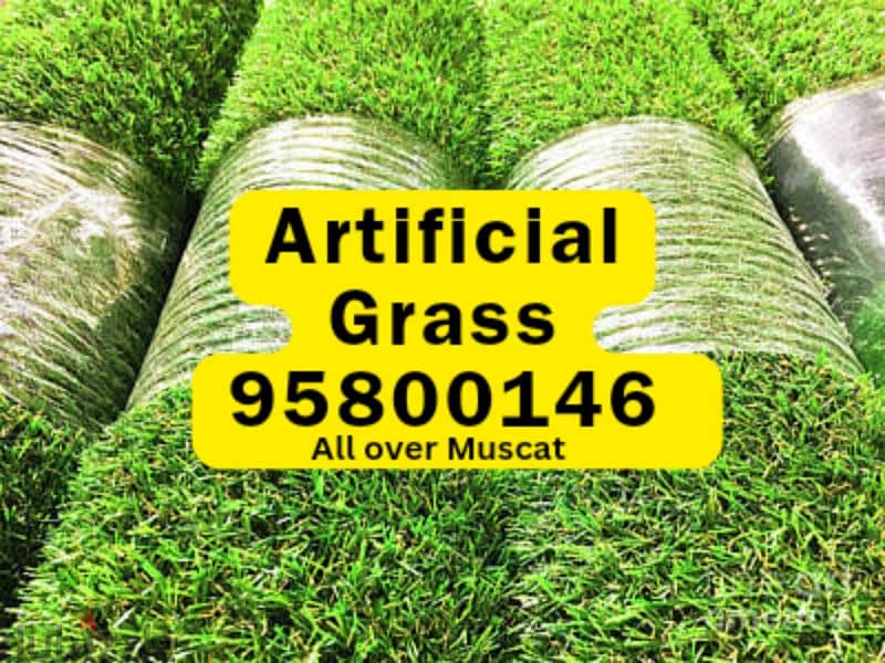 Artificial Grass available, Plants,Pots, Seeds,Soil available 0