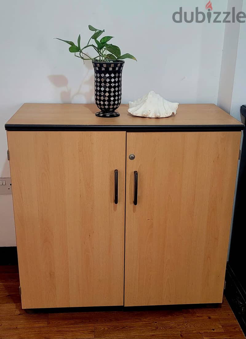 Clean and Beautiful Multipurpose Wooden Closet (Only 2 left) 0