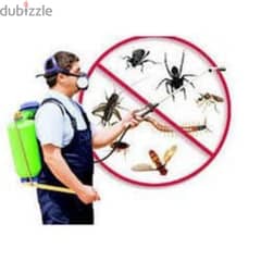 Pest control service and house cleaning service