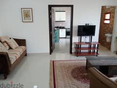 1 Bedroom Furnished Apartment for Rent 0