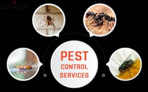 General pest control services