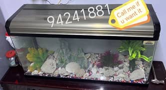 Big beautiful Fish Tank for urgent sale