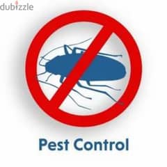 Pest control service house cleaning