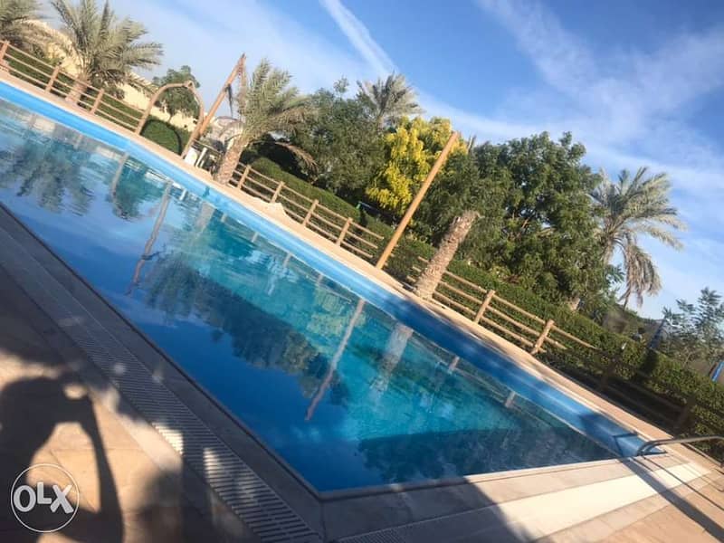 Farm for Rent-Citi Farm-مزرعــة للإيجــار 2