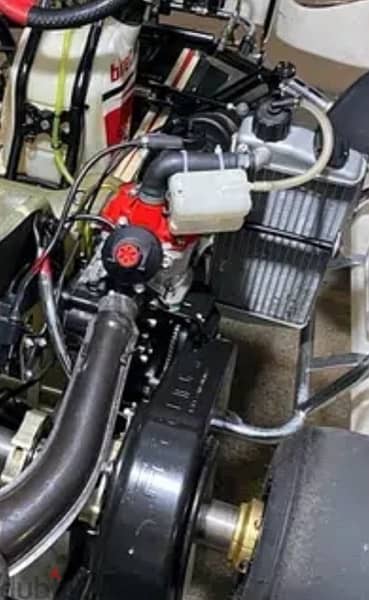 Go Kart Rotax Senior Max Engine 2