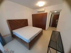 "SR-FA-229 furnished flat to let in Airport Heights