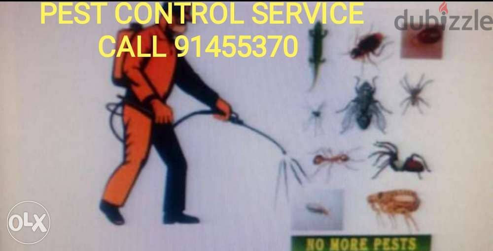 All out pest control 1