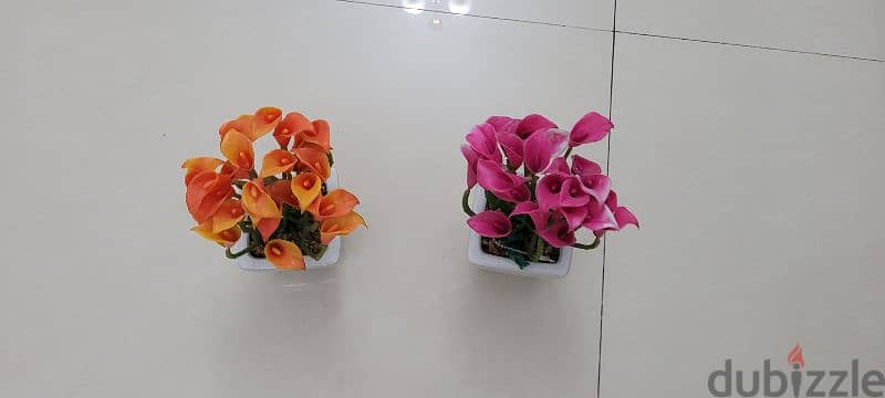 Decoration plants with Pots in perfect condition 1