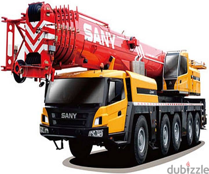 25 ton to 250 ton Cranes Available For Rent 0