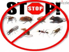 General pest control services and house cleaning