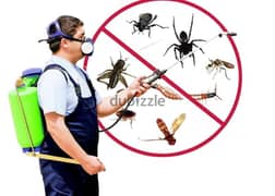 Pest control services and house cleaning