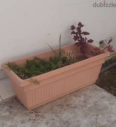 Plant Pots For sale!! 0
