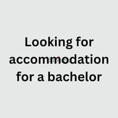 REQUIRE ACCOMODATION FOR A BACHELOR