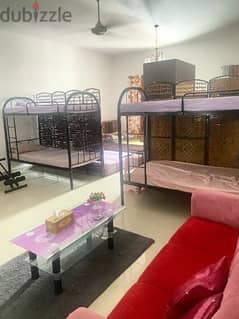 bed space for rent  beside mawasalat bus station al batrik sohar