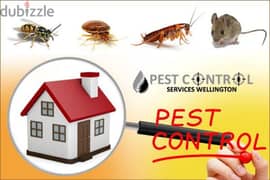 Pest control services