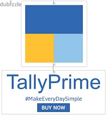 Tally Prime Accounts training in Musact- Home /Office Services also