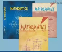 Maths Tution for higher classes and IP subject