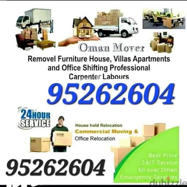 House and transport mascot movers villa 0
