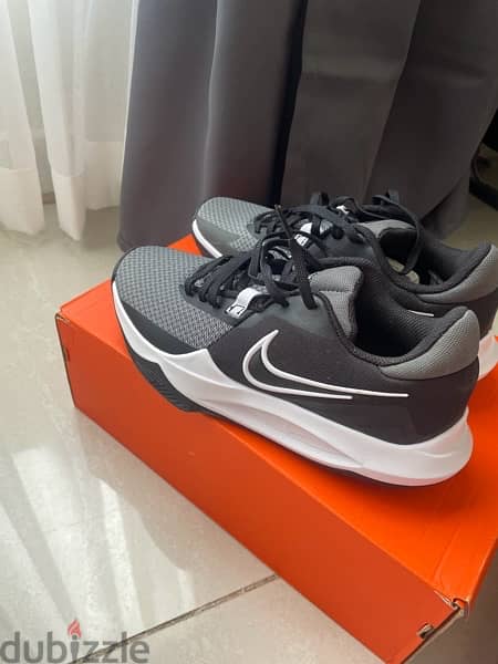 Brand new Nike Basketball shoes (Nike Precision VI) 2