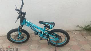 bycycle for kids 0