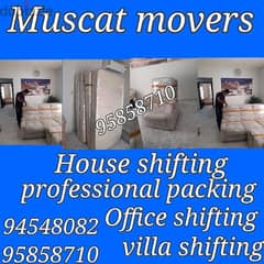Mover and Packers  furniture and fixing 0