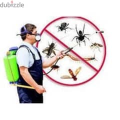 Pest control services 0