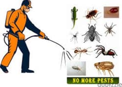 Pest control, Marble polishing, Cleaning, fumigation, anti termite