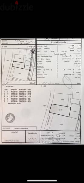 ارضين شبك مميزات في المنى