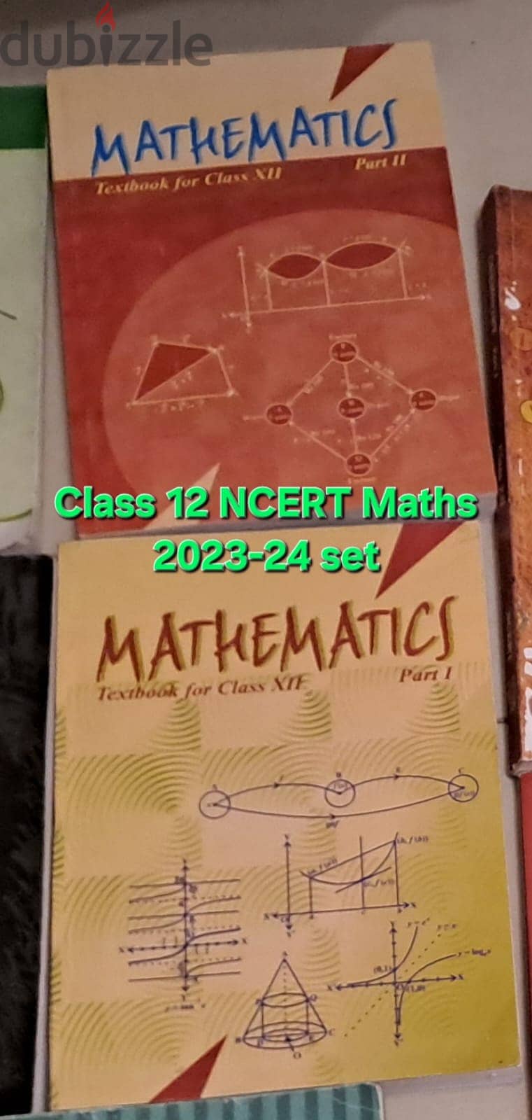 Class 12 Books (Oswaal, PW, ML Aggarval, NCERT, Practical books) 5