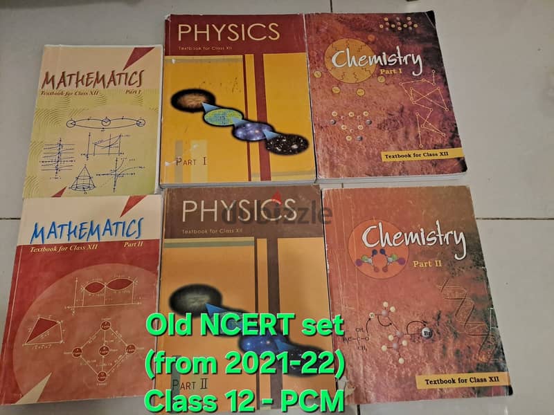 Class 12 Books (Oswaal, PW, ML Aggarval, NCERT, Practical books) 6