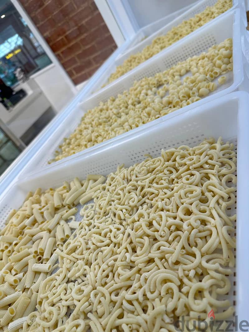 We supply fresh pasta in grams and kilograms 12