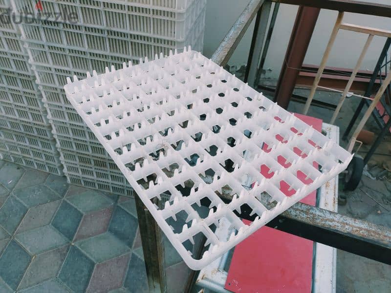 incubator capacity 10000 eggs ٱلة تفقيس البيض سعة 10 الاف بيضة 2