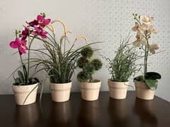 5 artificial plants -IKEA products 0